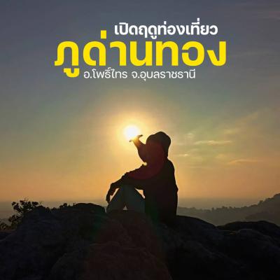 ภูด่านทอง